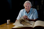 David Attenborough