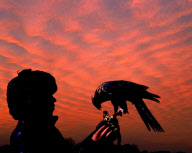 World News - Dec. 26, 2011