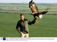 Falconer Jonathan Marshall and Golden Eagle Sampson who he has re-trained to fly, Barnstaple, Devon, Britain - Aug 2007