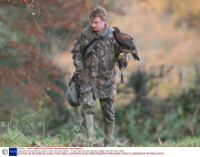 Pheasant Hunting With A Harris's Hawk, Cornwall, Britain - 13 Dec 2007