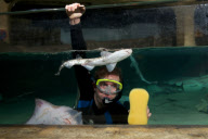 January deep clean at the London Aquarium, Britain - 09 Jan 2013