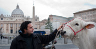 Blessing of animals on the Day of St Antonio Abate, St Peter's Square, Rome, Italy - 17 Jan 2013