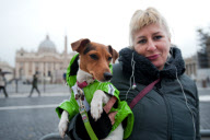Blessing of animals on the Day of St Antonio Abate, St Peter's Square, Rome, Italy - 17 Jan 2013