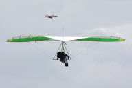 Sea eagle hitches a lift on a hang glider, Sydney, Australia - 26 Dec 2012