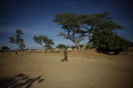 French troops deployed in Mali 