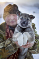 Village of Oymyakon, which is considered to be the coldest permanently inhabited settlement in the world, Russia - Jan 2013