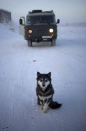 Village of Oymyakon, which is considered to be the coldest permanently inhabited settlement in the world, Russia - Jan 2013