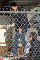 *EXCLUSIVE* Joshua Jackson preps for his move to SoCal [NO Canada]