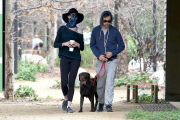 *EXCLUSIVE* An Inconspicuous Anne Hathaway and Adam Shulman take a stroll with Esmeralda 