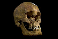 Remains of King Richard III found, Leicester, Britain - 4 Feb 2013