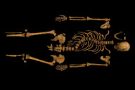 Remains of King Richard III found, Leicester, Britain - 4 Feb 2013