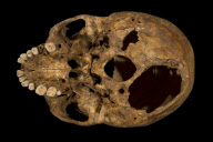 Remains of King Richard III found, Leicester, Britain - 4 Feb 2013
