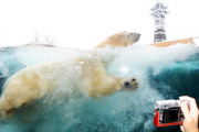 Polarkreisgehege