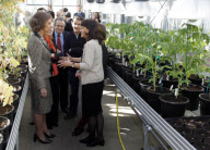 La Reina Sofia visita el Centro Nacional de  Biotecnologia

