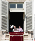 Vatican Pope Benedict XVI  Angelus prayer in St. Peter's square