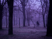 Soviet breakaway republic of Transnistria, Moldova, Europe - Feb 2013