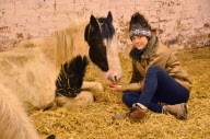 Woman rescues eight horses destined for the abbotoir, Cheshire, Britain - 18 Feb 2013