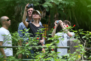 *EXCLUSIVE* Calista Flockhart and Harrison Ford let Nature take its course in Rio