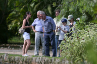 *EXCLUSIVE* Calista Flockhart and Harrison Ford let Nature take its course in Rio