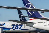 Boeing 787s grounded over battery fires