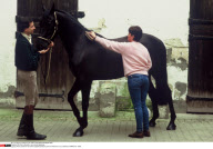 FRA: Pierre Durand et son cheval Jappeloup