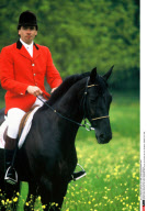 FRA: Pierre Durand et son cheval Jappeloup