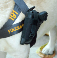 Police dog carrying his officer's gun in specially-designed holster, Dusit Hotel, Pattaya, Thailand - 19 Feb 2013