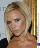 Blonde vs Brunette