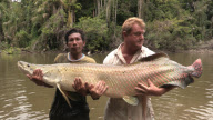 British angler lands monster 250lb arapaima fish in Essequibo River, Guyana, South America - Feb 2013