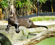 Hagenbecks Tierpark