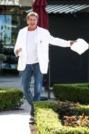 *EXCLUSIVE* David Hasselhoff gets Johnny Rockets to go