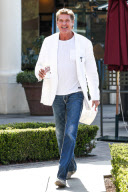 *EXCLUSIVE* David Hasselhoff gets Johnny Rockets to go