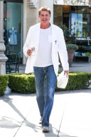 *EXCLUSIVE* David Hasselhoff gets Johnny Rockets to go