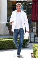*EXCLUSIVE* David Hasselhoff gets Johnny Rockets to go