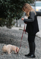 Exclusive... Julie Benz Takes Her Dog For Walk 