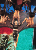 Pink in concert during 'The Truth About Love' tour in Philadelphia, Pennsylvania, America - 17 Mar 2013