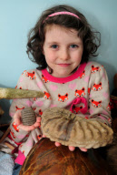 9-year-old girl has newly discovered dinosaur species named after her after discovering fossil, Isle Wight - 19 Mar 2013