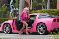 *EXCLUSIVE* Angelyne is showing more than just legs