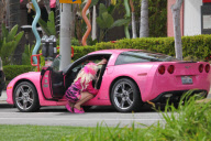 *EXCLUSIVE* Angelyne is showing more than just legs