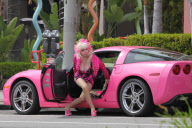 *EXCLUSIVE* Angelyne is showing more than just legs