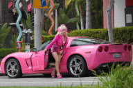 *EXCLUSIVE* Angelyne is showing more than just legs