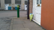 Flowers outside child's house house