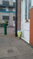 Flowers outside child's house house