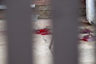 Jade Anderson, 14 year old schoolgirl killed by pack of dogs in Atherton, Wigan, Britain - 27 Mar 2013