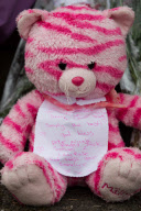 Jade Anderson, 14 year old schoolgirl killed by pack of dogs in Atherton, Wigan, Britain - 27 Mar 2013