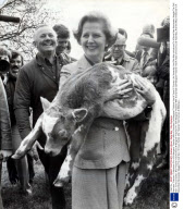 Baroness Thatcher Of Kesteven Pm 1979 Margaret Thatcher With A Charolais Calf Margaret Thatcher Had A Taste Of Country Life Yesterday. And She Was Introduced To A Brand New Namesake. Maggie The Calf Born 12 Hours Earlier. Mrs Thatcher Told Farmers At
