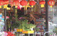 Exclusive... Ireland Baldwin Out Shopping In Chinatown 