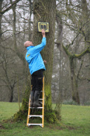 Tigers put 'indestructible' signage to the test, Longleat, Wiltshire, Britain - Apr 2013