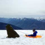 Mother photographs Julian Becker and Max the dog for his Naval officer father, Whidbey Island, Washington, America - Apr 2013