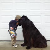 Mother photographs Julian Becker and Max the dog for his Naval officer father, Whidbey Island, Washington, America - Apr 2013